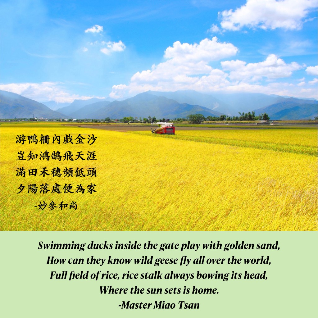 Yellow hay field, a blue sky with clouds and the poem that says "Swimming ducks inside the gate play with golden sand, How can they know wild geese fly all over the world, Full field of rice stalk always bowing its head, Where the sun sets is home. –Master Miao Tsan"