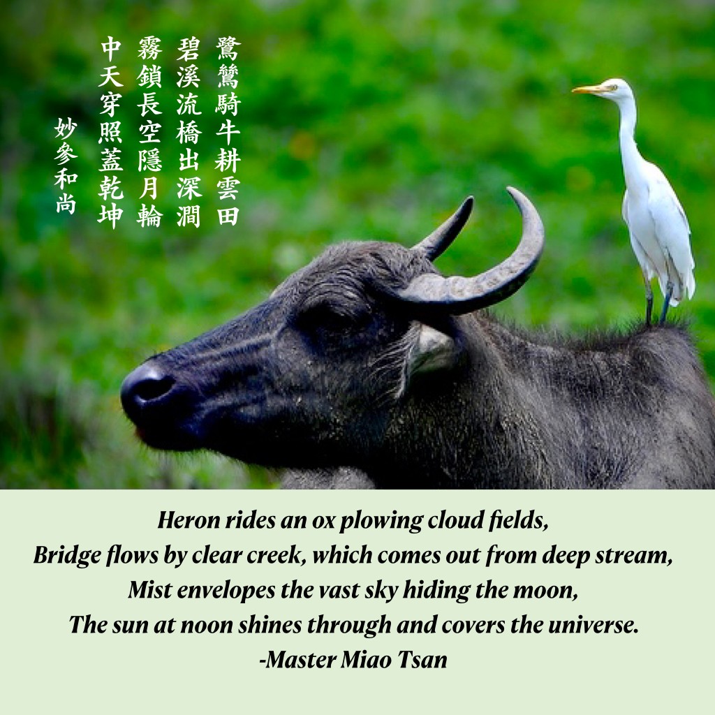 White bird on top of a black bull and the poem that says "Heron rides an ox plowing cloud fields, Bridge flows by clear creek, which comes out from deep stream, Mist envelopes the vast sky hiding the moon, The sun at noon shines though and covers the universe. –Master Miao Tsan"